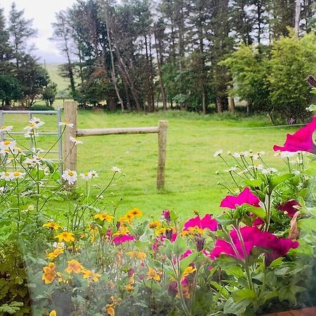 Glen Keen Farm Cottageルイスバーグ エクステリア 写真