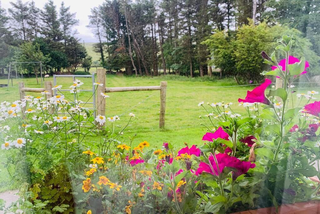 Glen Keen Farm Cottageルイスバーグ エクステリア 写真